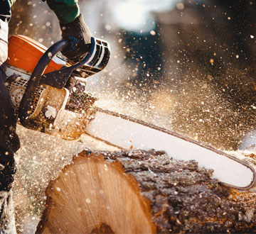 Man Cutting a Log With Chainsaw Man Cutting a Log With Chainsaw